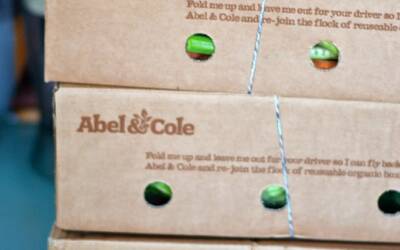 Abel and Cole Delivery Box and an Easy Chicken Recipe Idea