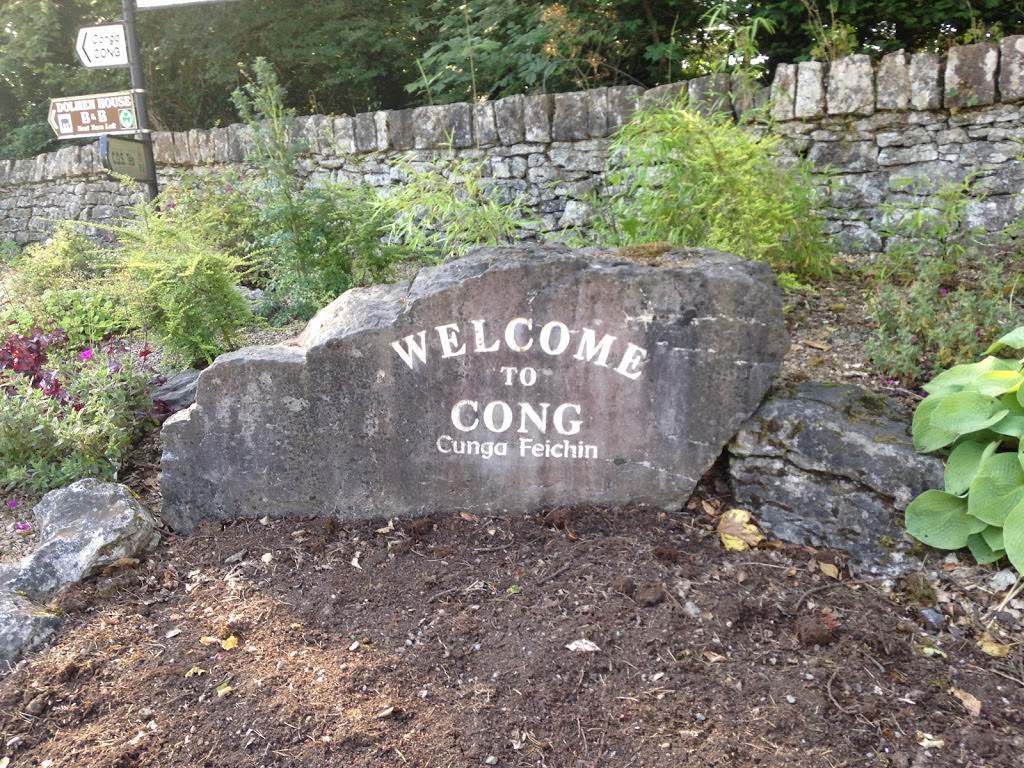 Welcome to Cong Cunga Feichin