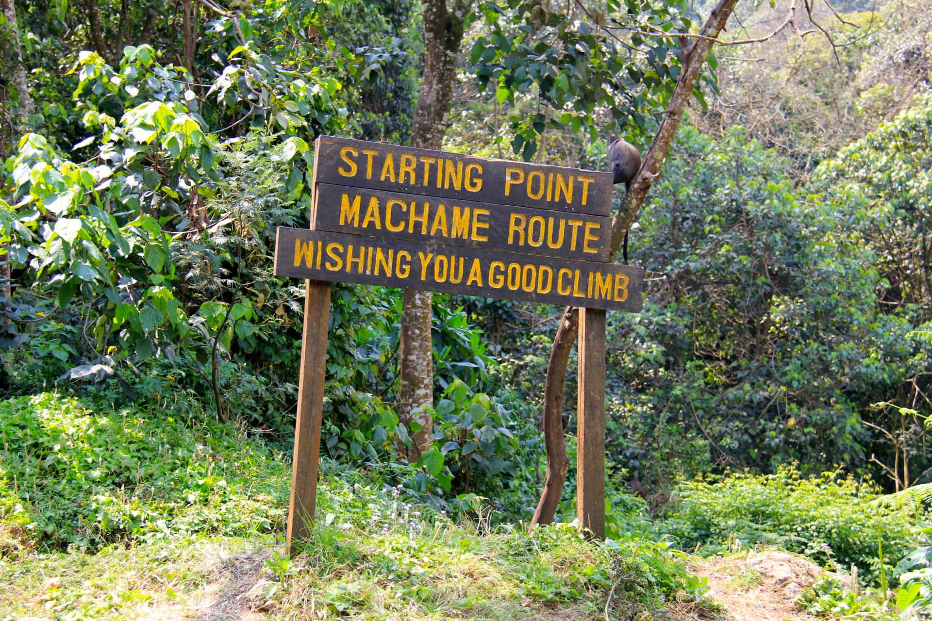Machame Route Kilimanjaro G Adventures