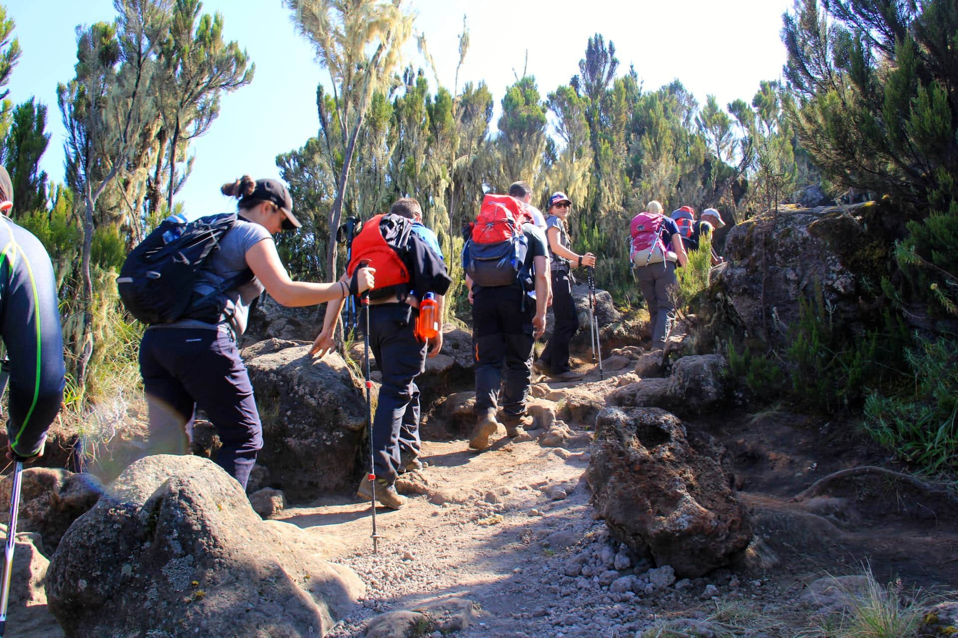Machame Route Kilimanjaro G Adventures
