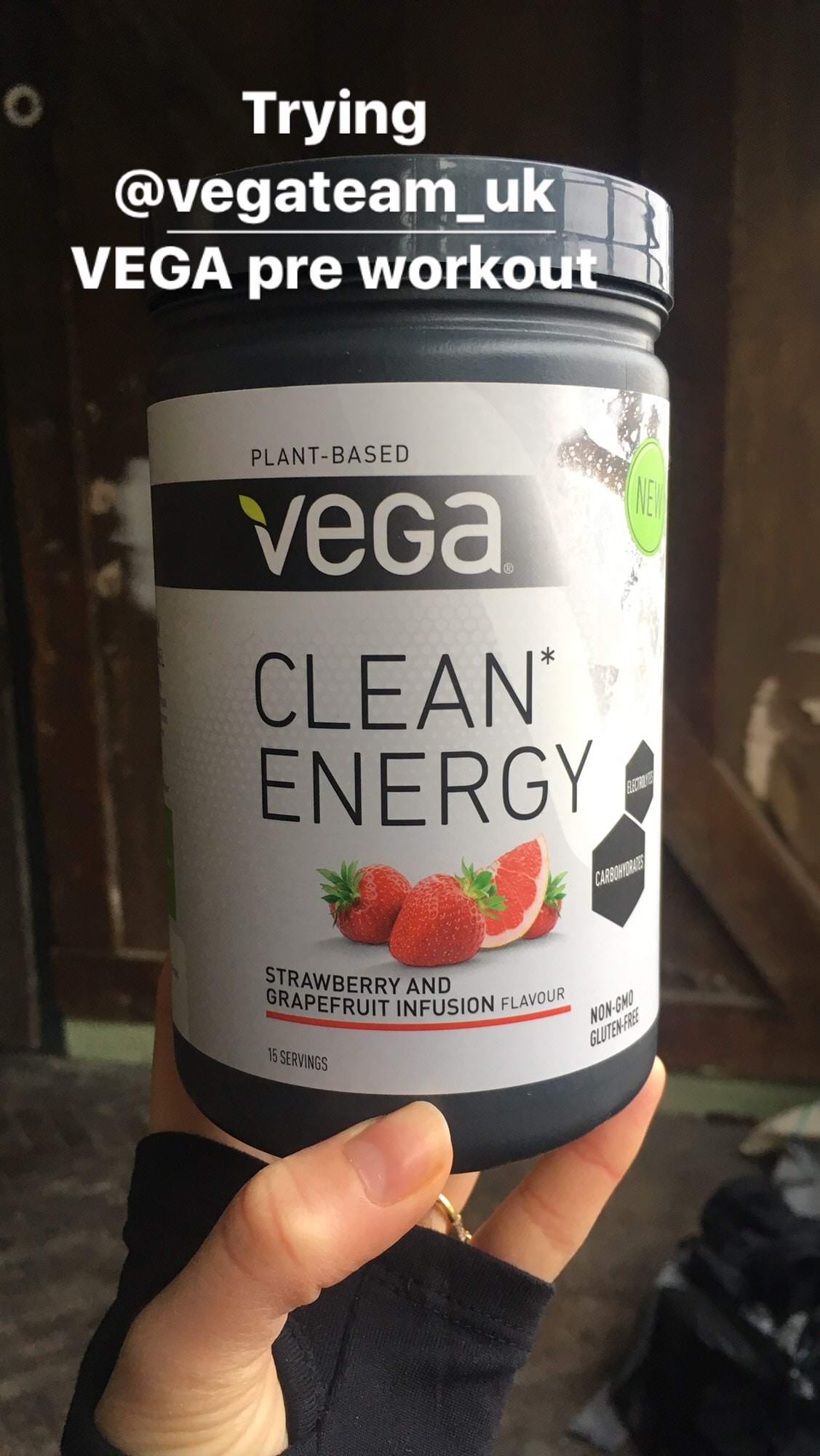 Vega Clean Energy 